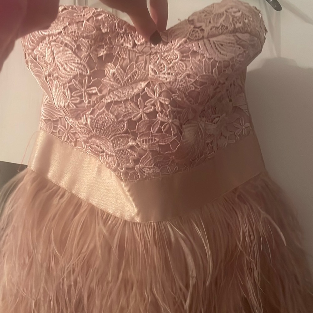 Bebe dress
